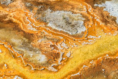 Jeotermal havuzları, yellowstone Milli Parkı, w mikrobiyal paspaslar