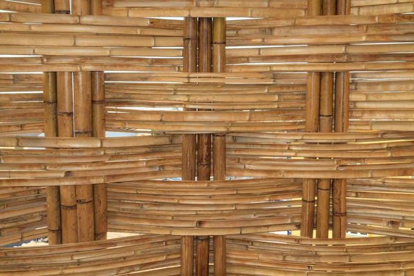 Bamboe bouw patroon — Stockfoto
