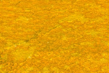 Jeotermal havuzları, yellowstone Milli Parkı, w mikrobiyal paspaslar