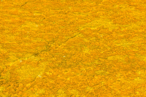 Microbial mats in geothermal pools, Yellowstone National Park, W
