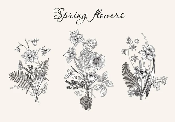 Voorjaarsbloemen Bloeiende Tuin Vectorillustratie — Stockvector