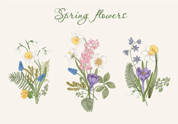 Voorjaarsbloemen Bloeiende Tuin Vectorillustratie — Stockvector