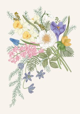 Bahar çiçekleri. Çiçek açan bahçe. Vektör illüstrasyonu.