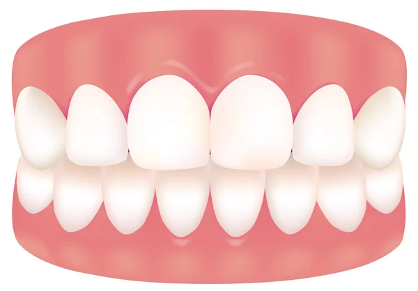 Uma imagem de dente — Vetor de Stock