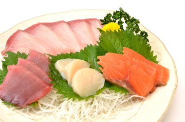 taze sashimi