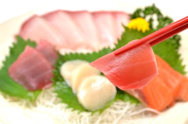 taze sashimi