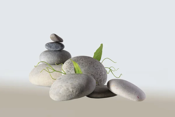 Galets zen