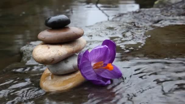 Galet Zen Video By C Le3eoeil Stock Footage