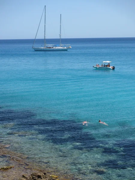 Cañamel azul — Foto de Stock