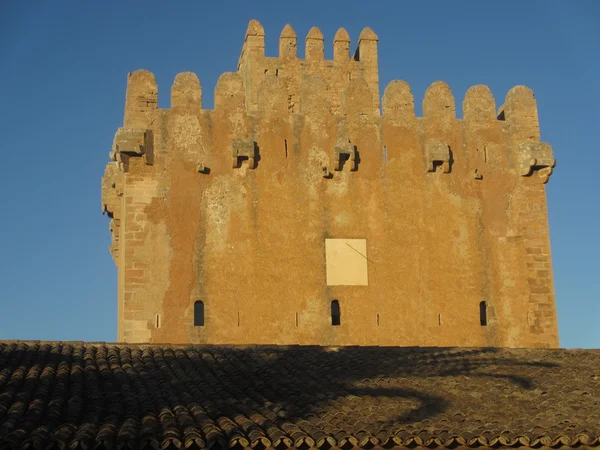 Close up van een wetenschapper op zoek naar een Microscoop