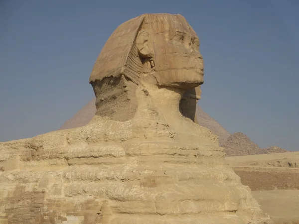 Große Sphinx — Stockfoto