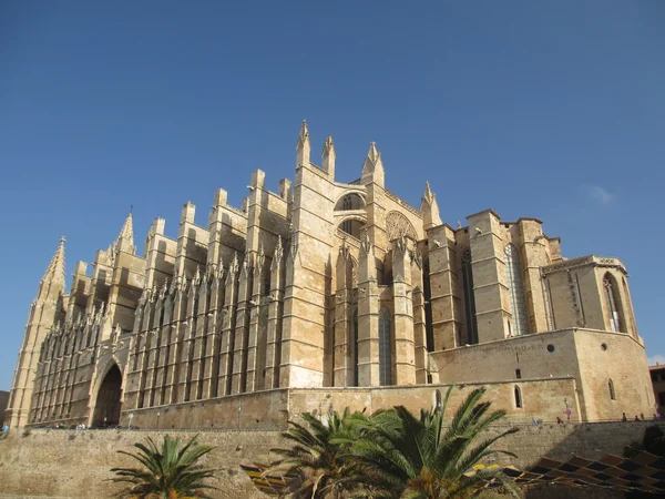 Cattedrale di Palma — Foto Stock