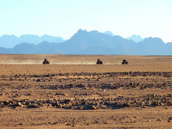 bedevilerin arıyorsunuz