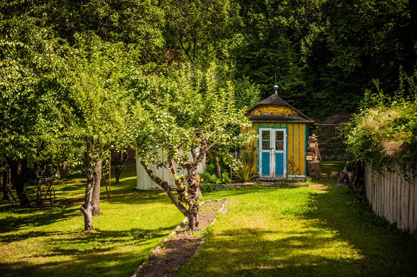 Tsommer spaziano — Foto Stock