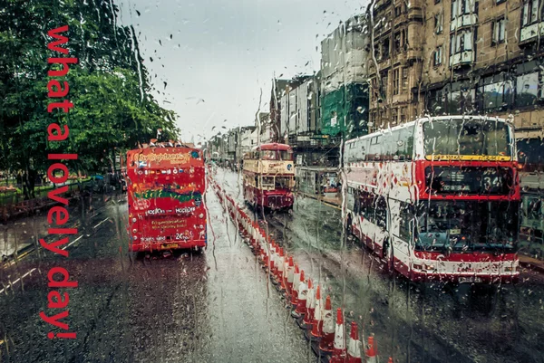 To je krásný den — Stock fotografie