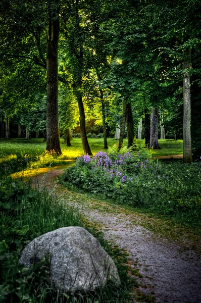 Een weg door het bos — Stockfoto