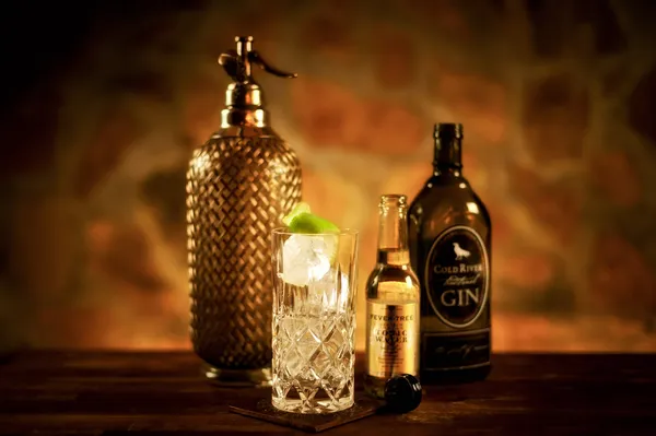 Longdrink "Gin Tonic" Stockfoto