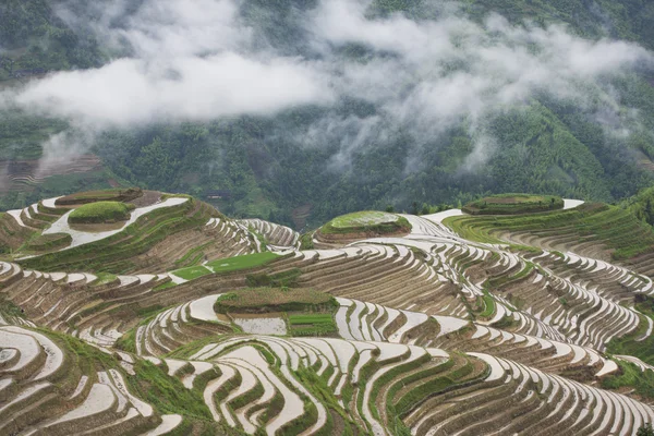 Guilin contourploegen terras — Stockfoto