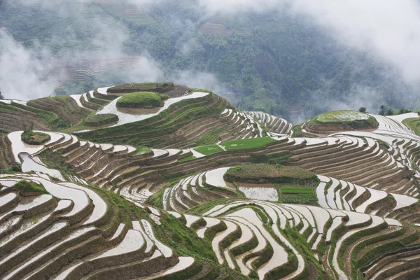 Guilin longsheng Teras