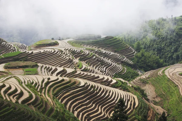 Guilin longsheng Teras