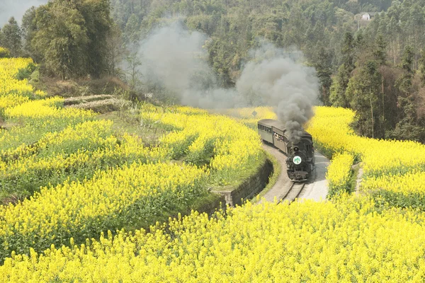Jia Yang tren de vapor China provincia de sichuan chengdu ciudad zigong —  Fotos de Stock