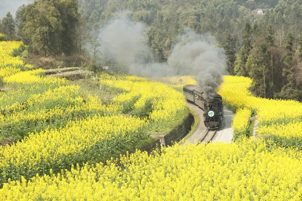 Jia yang buhar tren Çin sichuan eyaletinin chengdu şehir zigong