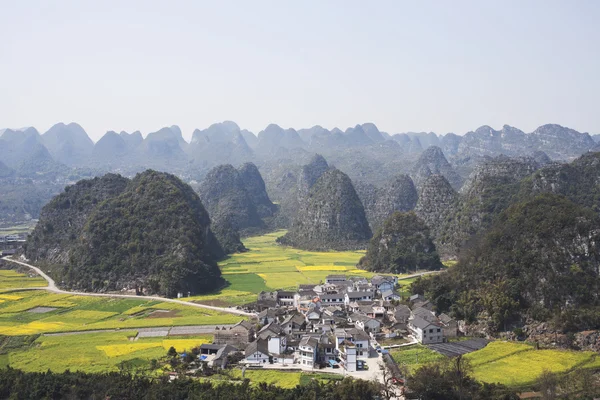 Kina guizhou provinsen xingyi rapsfält — Stockfoto