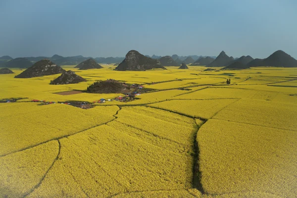 Kina yunnan provinsen luoping våldtäkt fältet Asien — Stockfoto