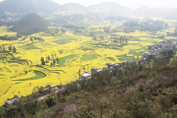 Çin yunnan eyaletinin luoping tecavüz alan — Stockfoto