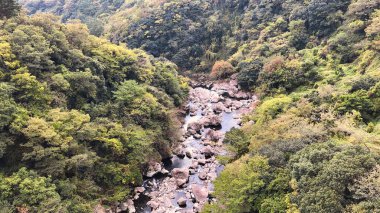Güney Kore 'deki yeşil orman, kayalar, su ve tapınak manzarası.