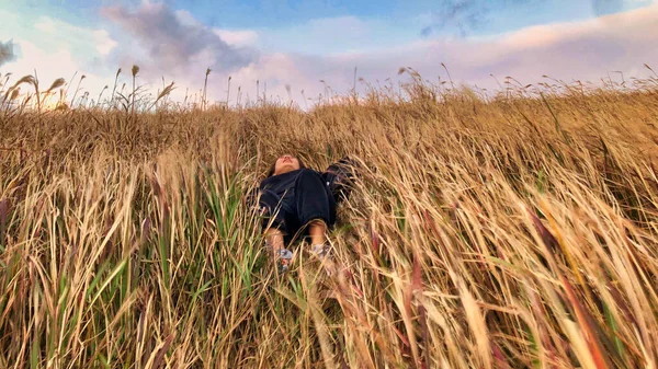 Asyalı bir kız bulutlu bir gökyüzünün rüzgarında buğday dağında uzanmış, yüzünde bir gülümsemeyle günbatımının tadını çıkarıyor.