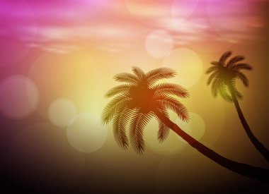 gün batımı ile palm, kolay tüm düzenlenebilir