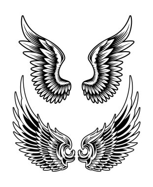 vektör wing set