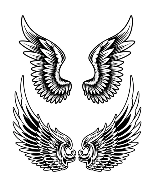 vektör wing set