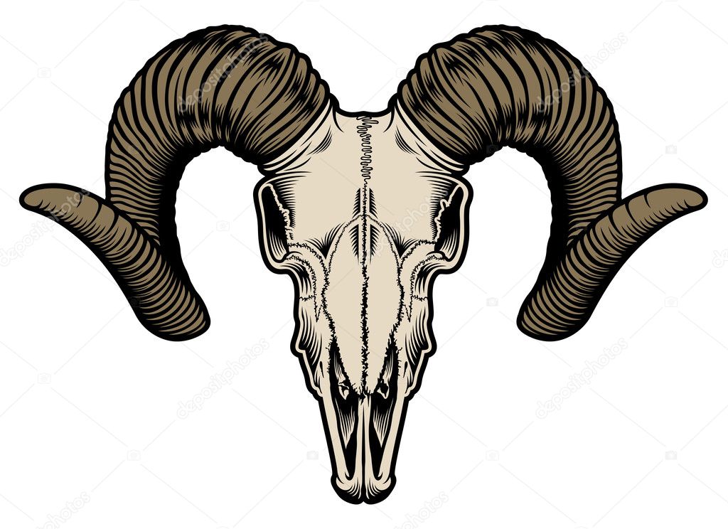 Animal skull Vector Art Stock Images | Depositphotos Animal skull Vector Art Stock Images | Depositphotos