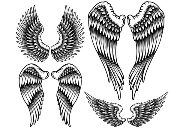Set of Wings
