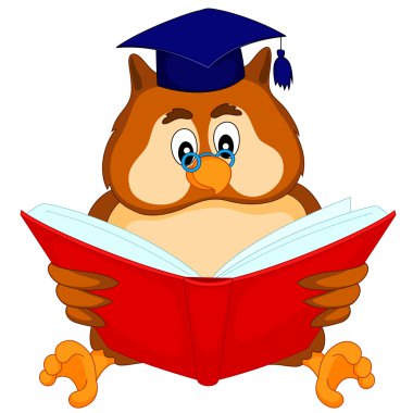 kitap okuma baykuş