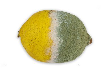 Rotten lemon clipart