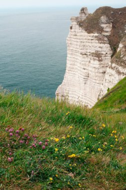 Güneş doğarken Atlantik Okyanusu ve gelgit kıyıları ile çarpıcı manzara, Etretat, Normandiya, Fransa, Avrupa
