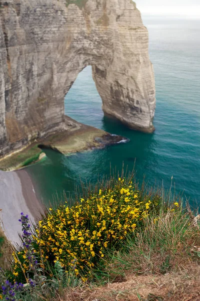 Άποψη Του Tretat Υψώνοντας Γκρεμό Κιμωλία Ένα Φυσικό Τόξο Falaise — Φωτογραφία Αρχείου