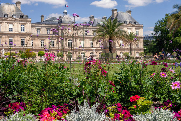 ПАРИЖ, ФРАНЦИЯ - 14 июня 2022 года: Люксембургские сады в Париже. Стулья в саду в Париже. Металлические шезлонги для отдыха в парке