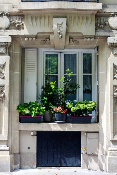 Paris Frankrike April 2022 Vackert Fönster Med Blommor Och Fönsterluckor — Stockfoto