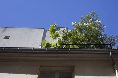 Paris, Fransa, Temmuz 2022 - Paris 'te ağaçların büyüdüğü teraslı daireler