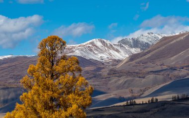 Altai. Kurai Vadisi. Sonbahar
