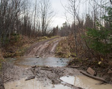 Kuzey Ural. Vishera Rezervi