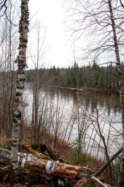 Kuzey Ural. Vishera Rezervi