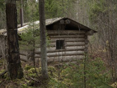 Kuzey Ural. Vishera Rezervi