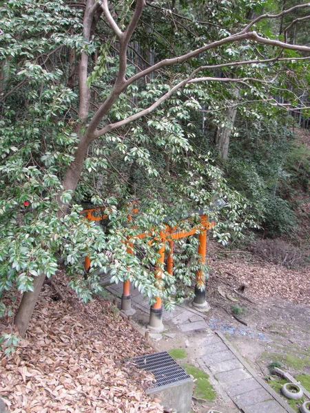 日本京都稲荷 — ストック写真