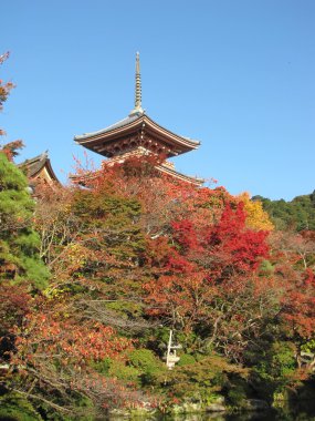 Kyoto, Japonya