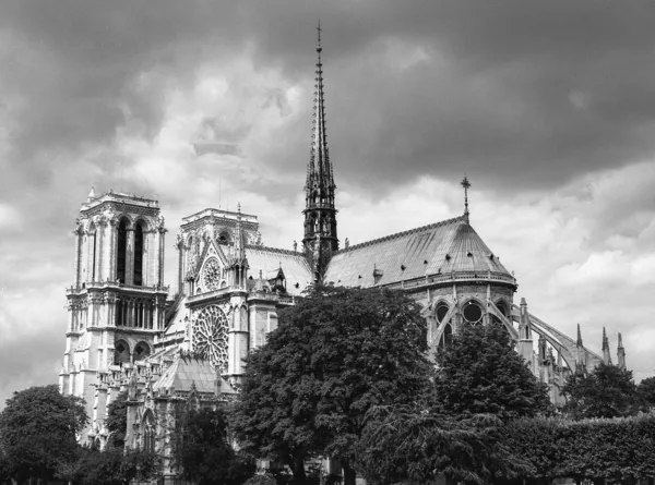 Notre Dame , Paris, FranceNotre Dame , Paris, France — Stock Photo, Image